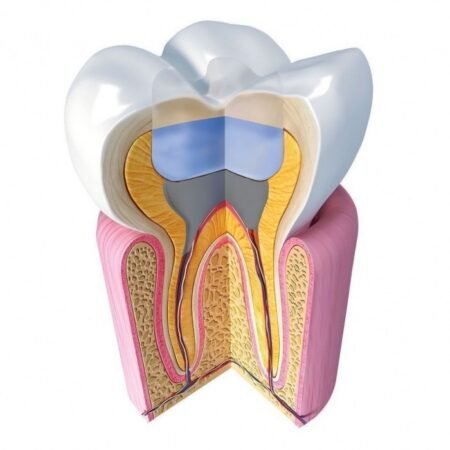 imgi_33_jen-radiance-molar=all=-700×700